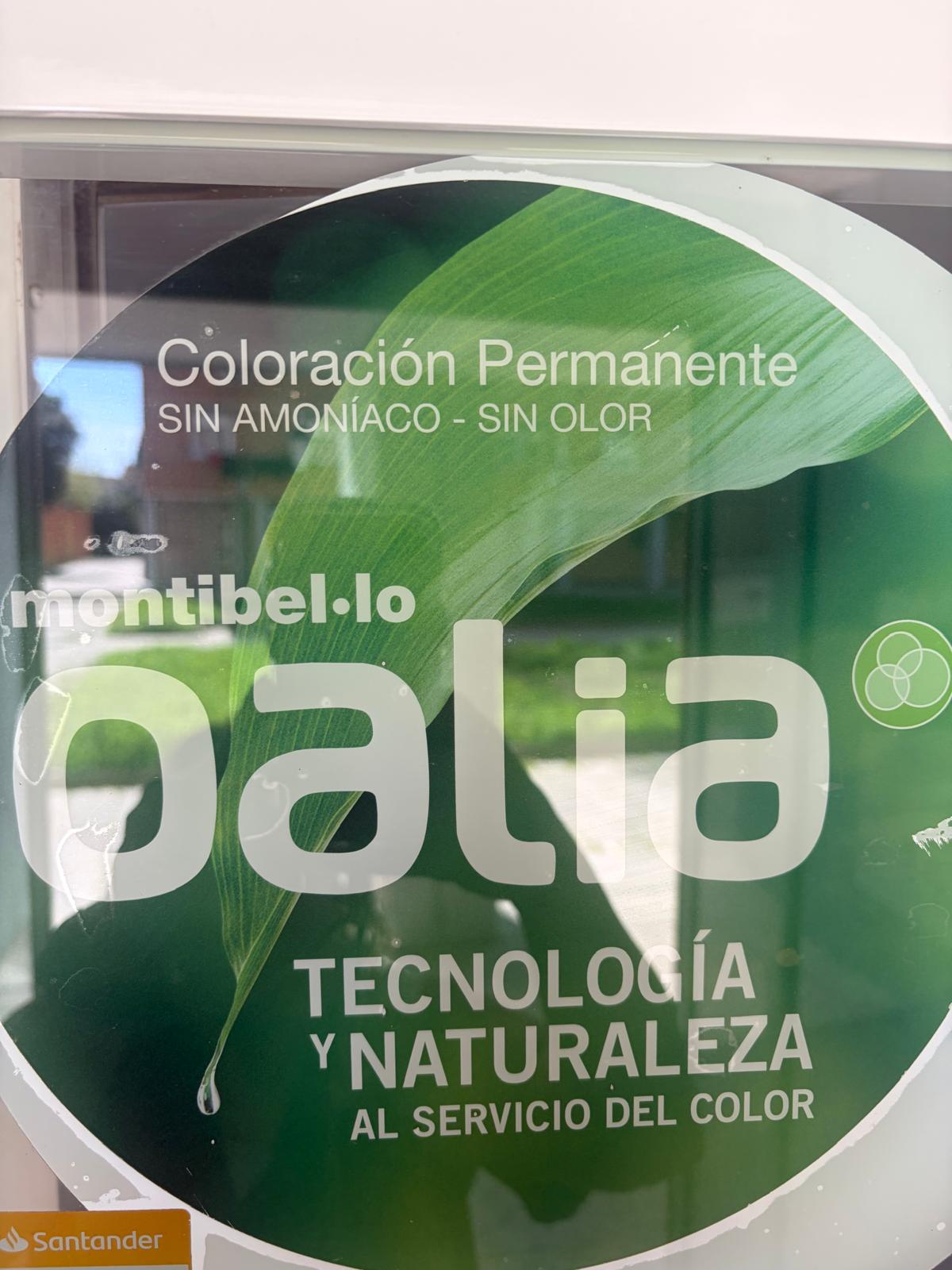 WhatsApp Image 2026 03 19 at 16.40.55 (7)